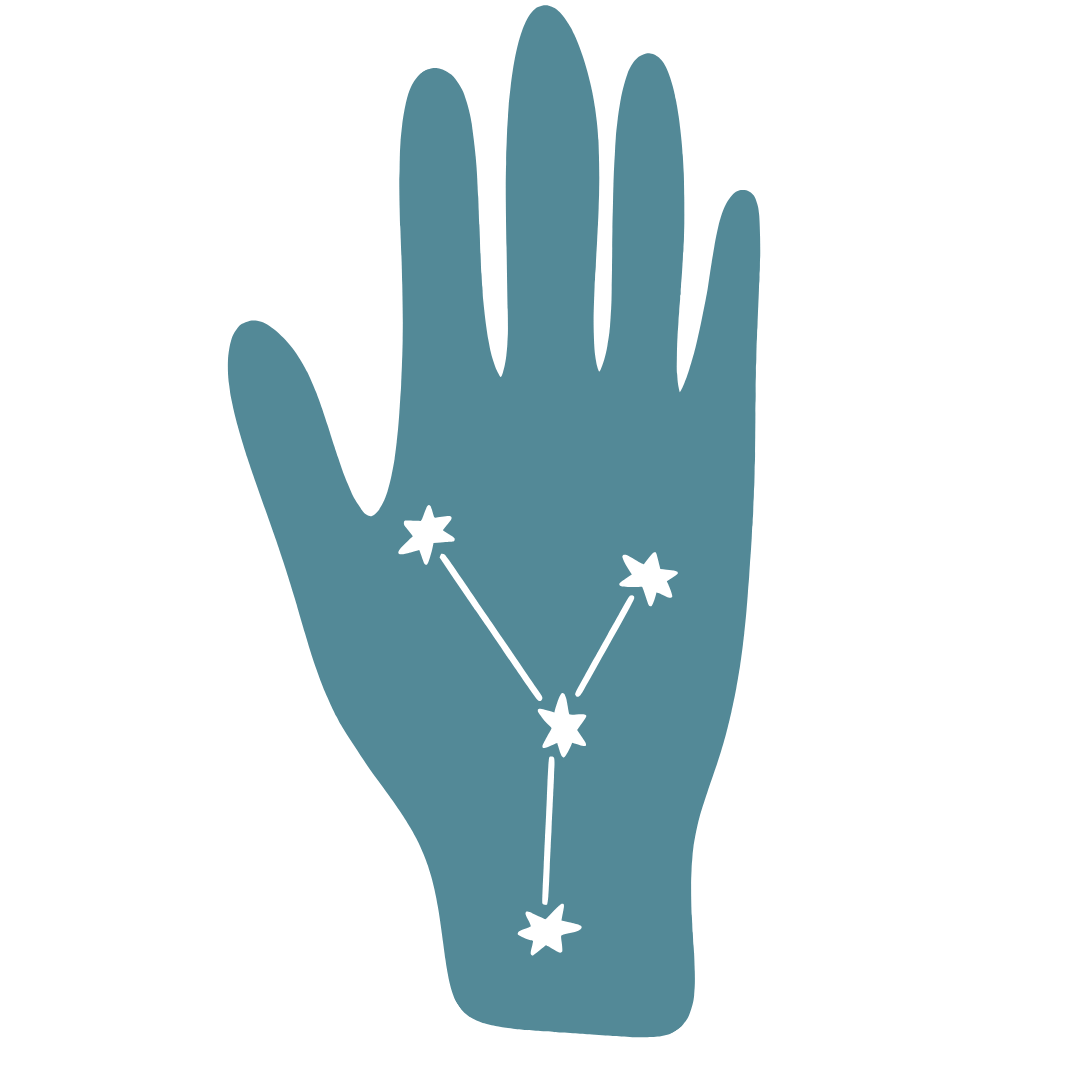 Pavini Moray Somatics